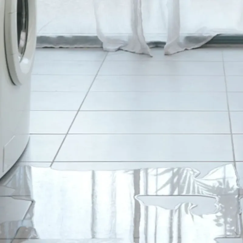 Appliance Leak Cleanup in Thiensville, WI
