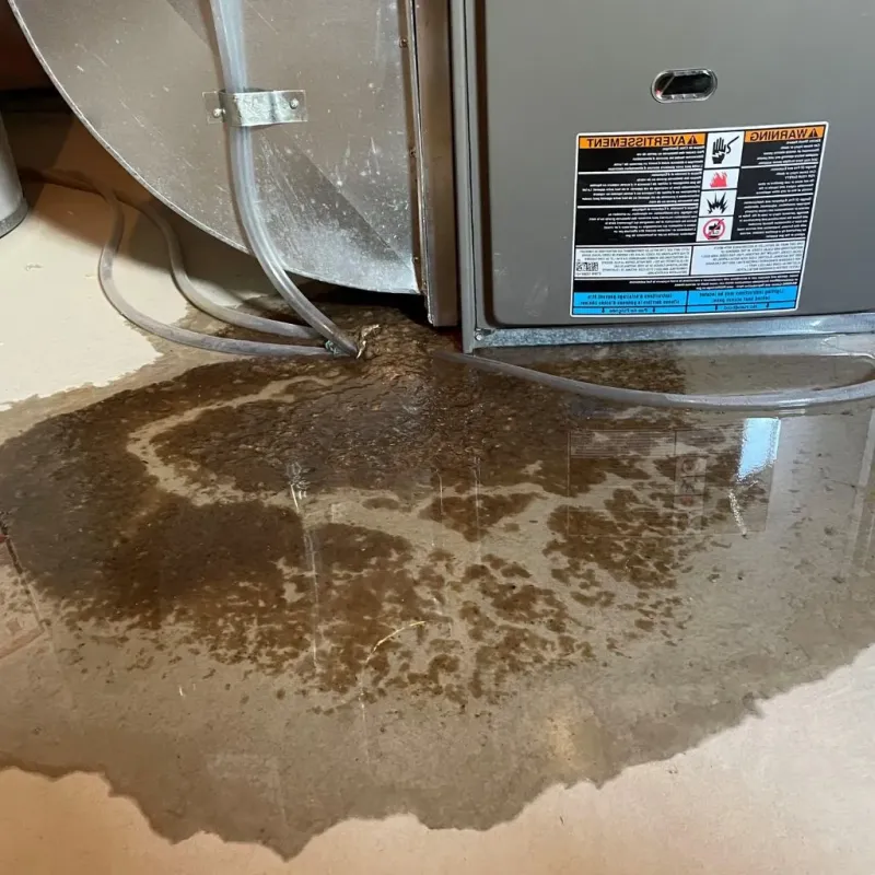 Pipe Burst and Leak Restoration in Thiensville, WI